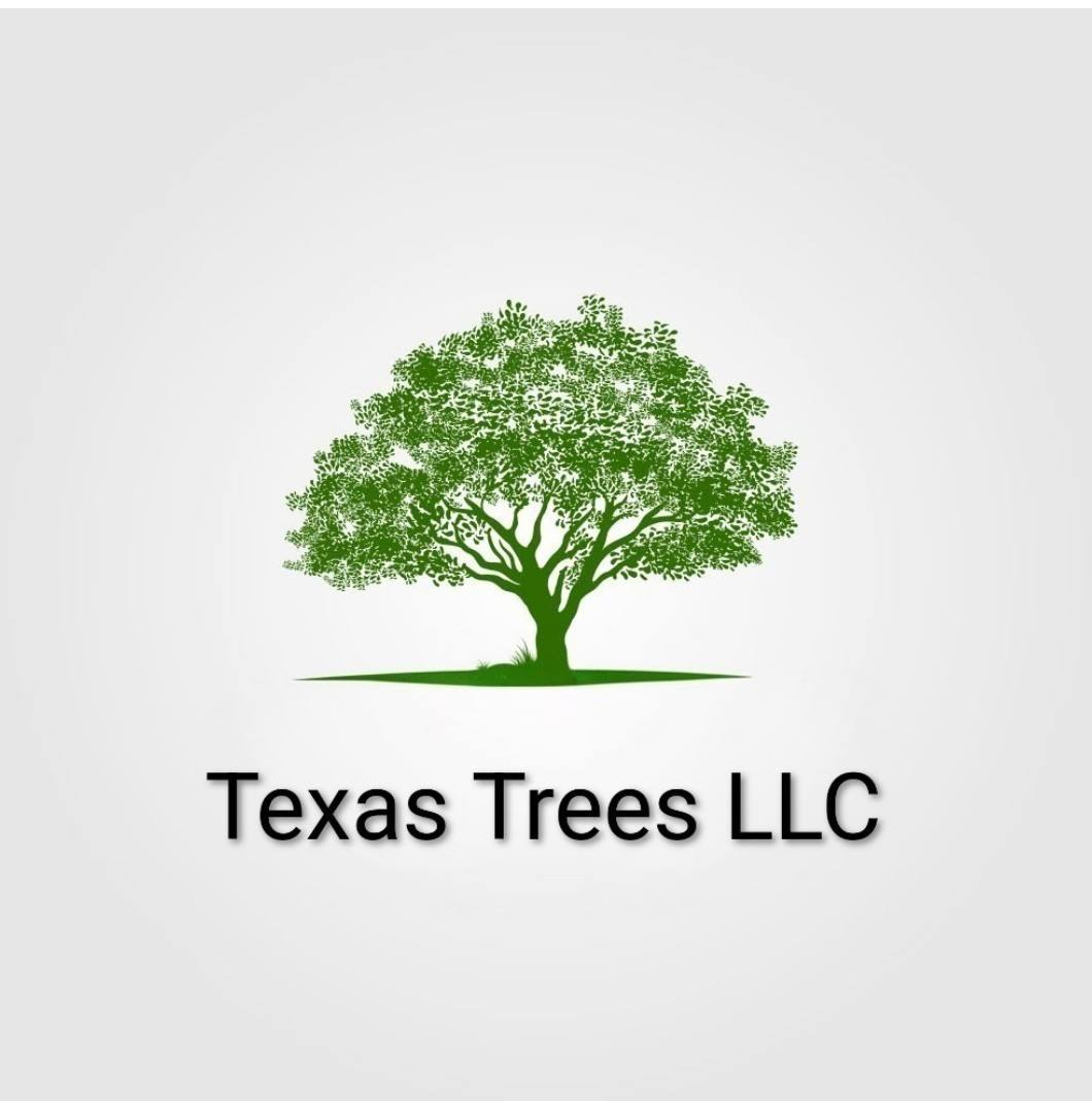 Texas Trees LLC Logo