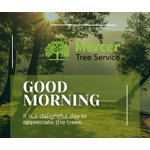 Mercer Tree Service