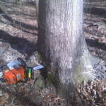 Jordan Sawmill And Logging Co, LLC
