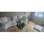 Crazy Clean Cleaning Services