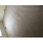 Hydrostar Carpet Cleaning