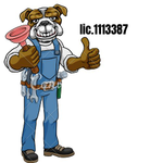 Willis Plumbing