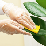All About Details Cleaning