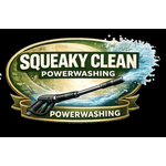 Squeaky Clean Power Washing