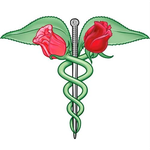 Rose City Acupuncture And Massage