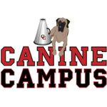 Canine Campus Dog Daycare & Boarding