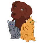The Animal Clinic