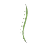 Natural Spine Solutions