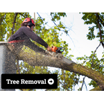 Blossom Exteriors Landscaping and Tree Service