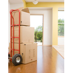 Move Us Again Moving FL