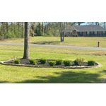 EJ Lawn Services