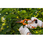 Hurricane Tree Services & Landscaping inc