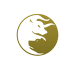 Wall Street Chiropractic and Wellness