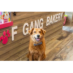 Woof Gang Bakery & Grooming St. Johns Town Center