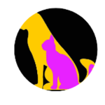 Affordable Pet Grooming