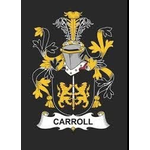 R. PATRICK CARROLL III HANDYMAN SERVICES