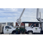 Torres Tree Services