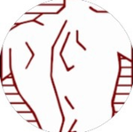 Spinal Correction Centers Dunedin
