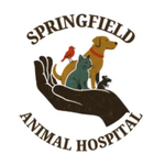 Springfield Animal Hospital