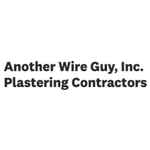 Another Wire Guy