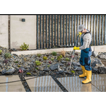 Gold Standard Cleaning Collective