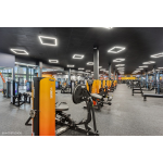 Crunch Fitness - Palm Harbor