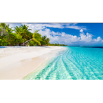 Cruise Planners - Far and Away Travel