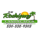 Sal Rodriguez Landscapes
