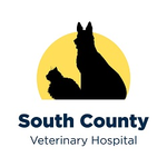 South County Veterinary Hospital