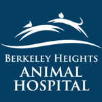 Berkeley Heights Animal Hospital