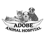 Adobe Animal Hospital