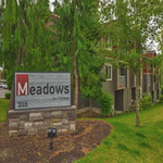 The Meadows by Vintage
