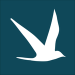 Pittis Ventnor Estate Agents