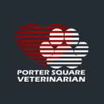 Porter Square Veterinarian