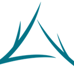 Twin Tree Mortgage LLC