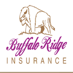 Buffalo Ridge Insurance