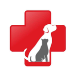 El Paso Animal Emergency Center
