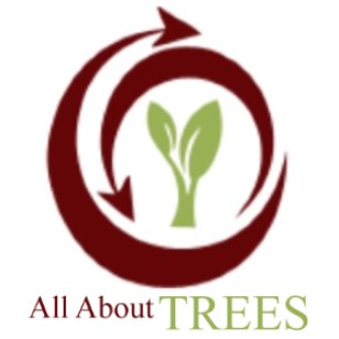 All About Trees Logo