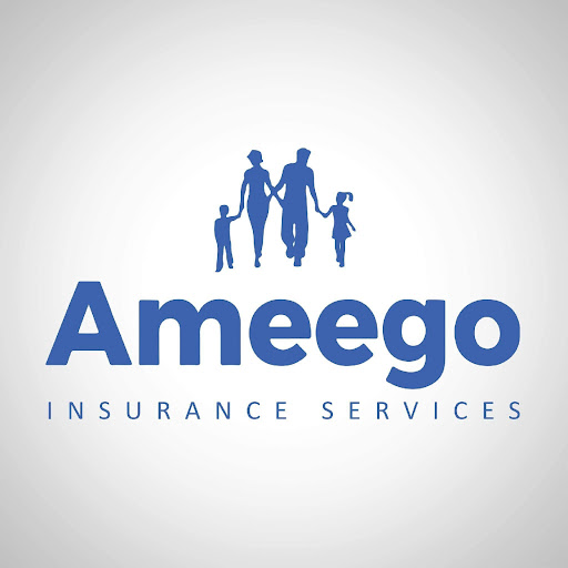 Ameego Insurance Services Logo