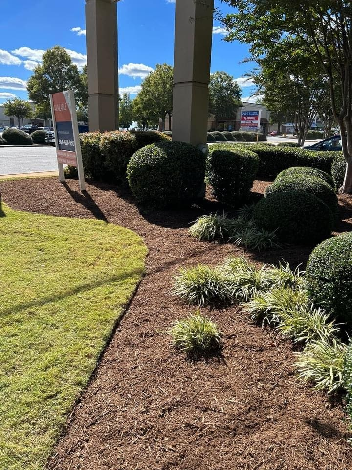 Distinct Landscape Management LLC Logo