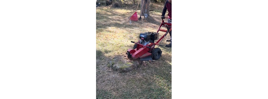 Stump And Grind LLC