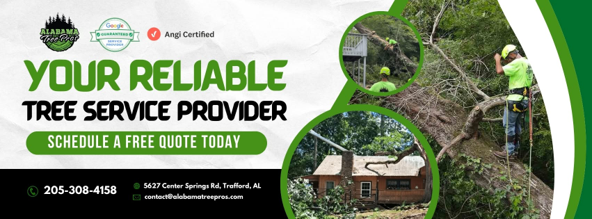 Alabama Tree Pros