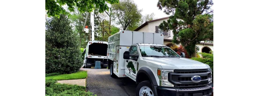 Specialty Tree Service