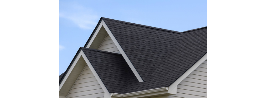 Easy Peasy Roofing