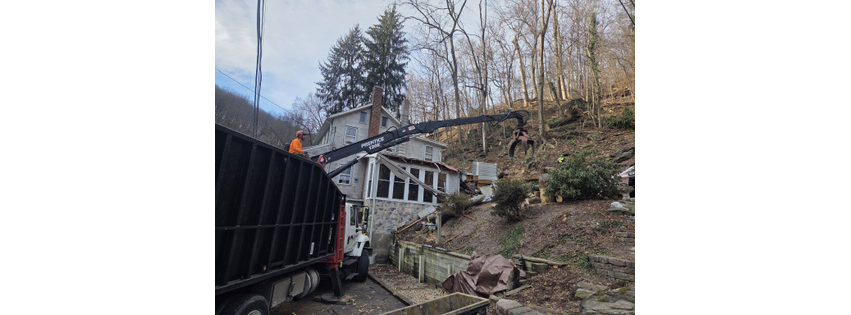 Specialty Tree Service