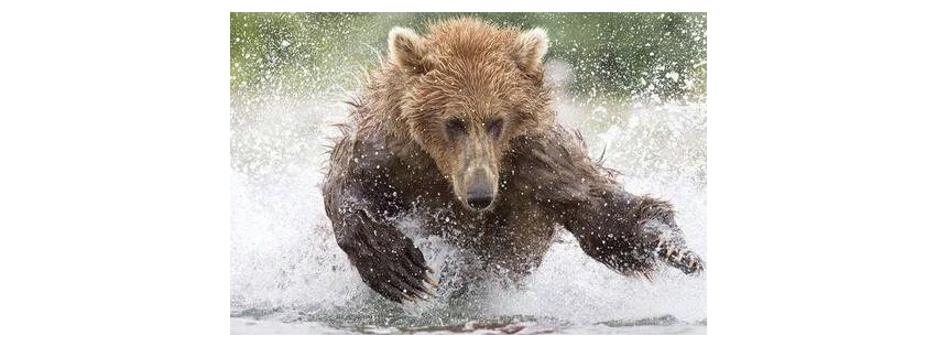 Big Bear Plumbing Company, Serving Reno Nevada