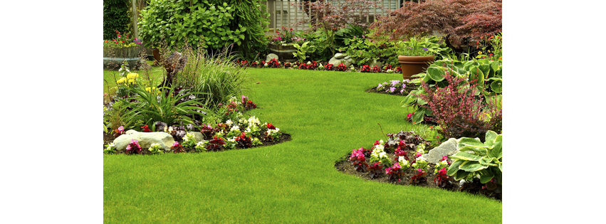 Precision Lawn Care