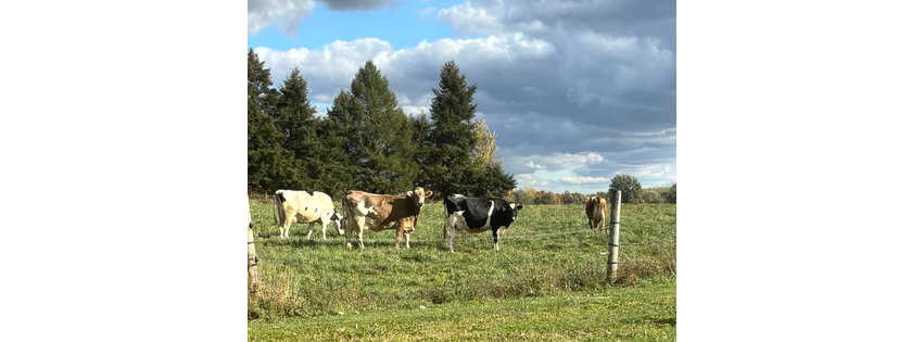G&G Dairy