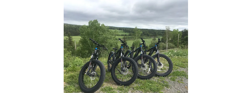 Mike's E Bikes