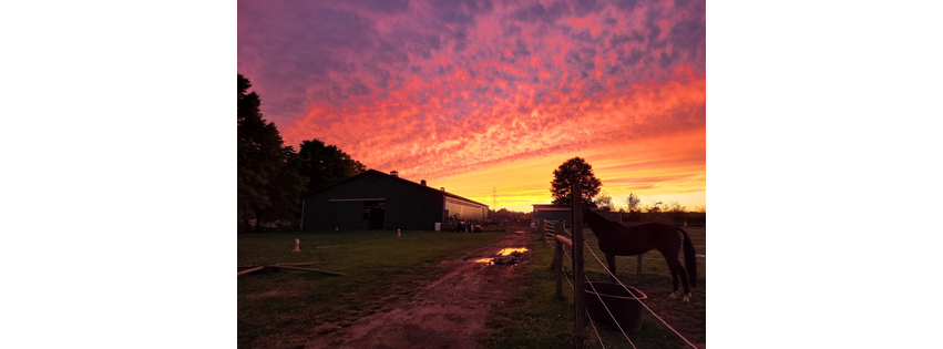 Sunset Stables OH